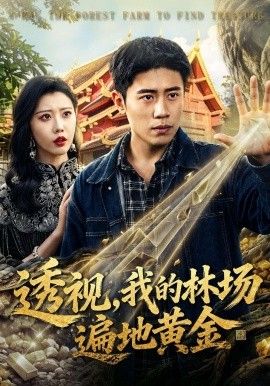 透視，我的林場遍地黃金