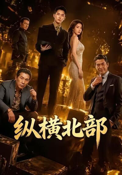 縱橫北部