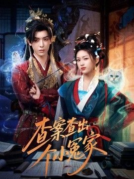 查案查出個小冤家