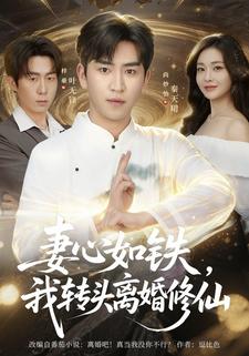妻心如鐵，我轉頭離婚修仙
