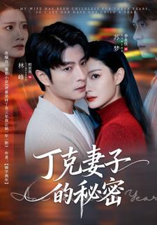 丁克妻子的祕密