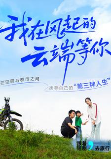 我在風起的雲端等你